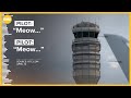 Pilots warned after meowing in cockpit near DCA airport