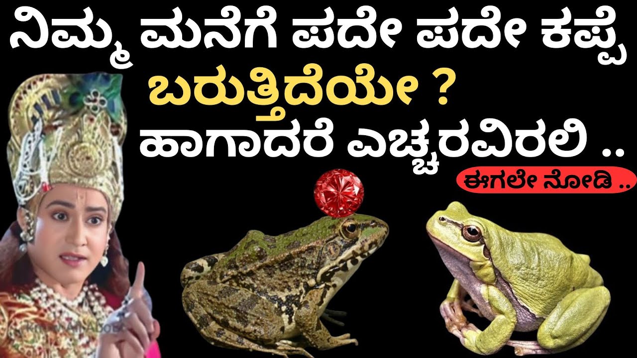 ನಿಮ್ಮ ಮನೆಗೆ ಪದೇ ಪದೇ ಕಪ್ಪೆ ಬರುತ್ತಿದೆಯೇ ?ಹಾಗಾದರೆ ಎಚ್ಚರವಿರಲಿ ..ಈಗಲೇ ನೋಡಿ ..#kurukshetrakannadachannel