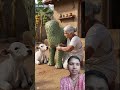 🌴Plam Leave Crafting By Old Grandmother। Elephant Craft 🐘। #ai #creativecreation #diy