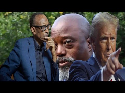 A Heartwarming Family Story: Husband Harvesting Fish, Mother-in-Law