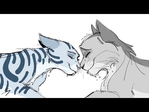 Коты воители рисунки пары