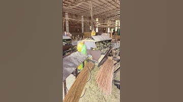 The production process of bamboo skewers  Good tools to help you work