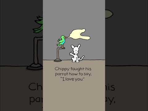 The trained parrot.  #parrot #love #iloveyou #dog #dogs #chippy #chippythedog #shorts #animals