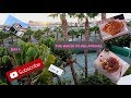 GRAN CANARIA 2018 AUGUST VLOG DAY 1