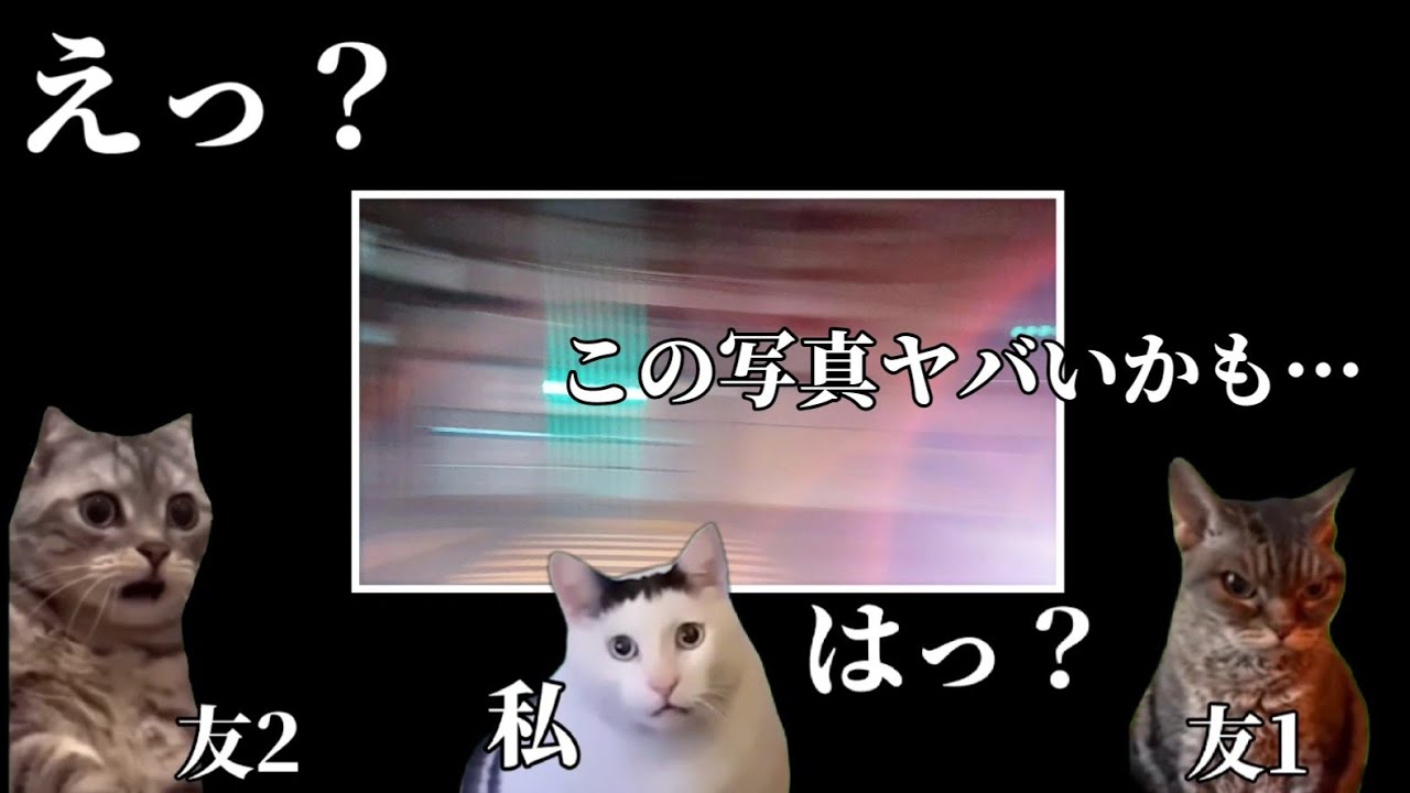 心霊に詳しい友人の考察が怖かった話　#猫ミーム #ホラー#心霊