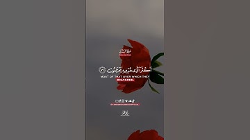 وَإنَّهُ لَهُدًى وَرَحمَةٌ || طارق محمد || من سورة النمل