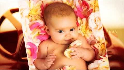 Plexus Technology - After Effects Template (Mega Pack) | VideoHive 10291439