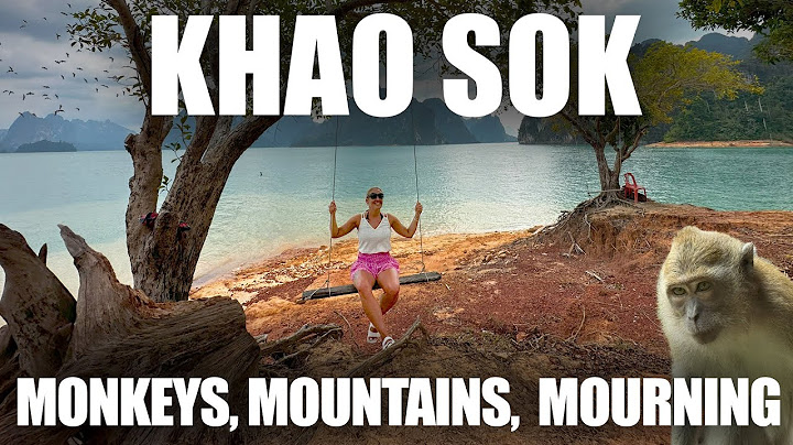 We Found Beauty & Heartbreak in Khao Sok | Thailand Travel Vlog 2025
