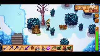 Stardew Valley || Meeting Trash Bear