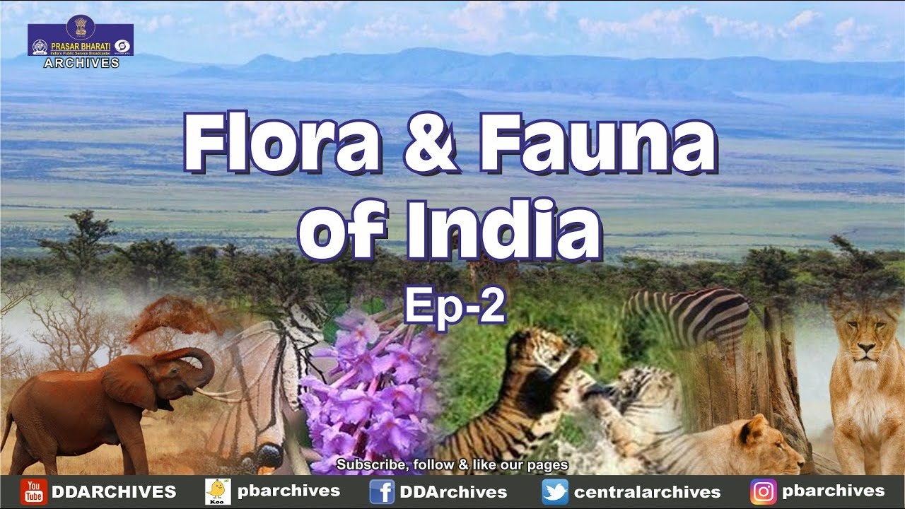 Wildlife in West Bengal | Flora & Fauna of India | Ep. 02