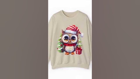 Top noel fun owl christmas shirt front shirt năm 2024