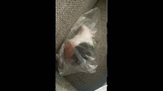 Desperate Little Eater.