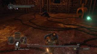 SL1 NG+7 COC Lost Sinner without Rolling or Blocking
