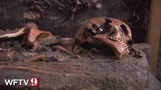 Is This The Most Important Archaeological Discovery In Florida History?