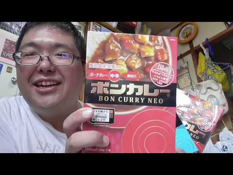 もう一つのボンカレー(大塚食品)のレビュー動画＆これから先の改造プラレールなどに関する話