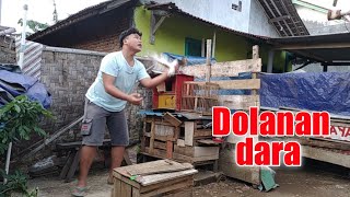 DOLANAN DARA || Film Pendek Ngapak #CONDOLE