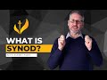 What is Synod? (Synod 2017)