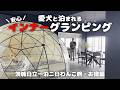 【犬連れ旅行茨城日立宿】犬と泊まれる宿「オーシャングランピング日立」さんで茨城を味わう🐶🐶🎶1泊2日わんこ旅2/3 2024.6