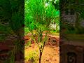 #funny #comedy #ytshorts #trending #youtubeshorts #varun403 #ekmotahathighumechala