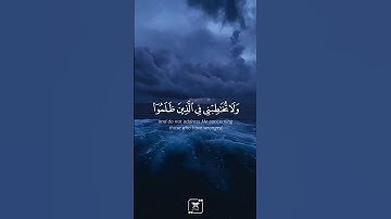 وَاصْنَعِ الْفُلْكَ بِأَعْيُنِنَا وَوَحْيِنَا💛🌿 #اسلام_صبحي #سورة_هود #quran #islam #reels #fyp