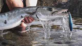 Land Based fishing HD Trinidad and Tobago
A short edit of a day spent shoreline fishing the local waters.
Camera used Panasonic GH5 - https://amzn.to/2LigsL5
12-35mm lens for Camera - https://amzn.to/2ZHT11G
14-140mm Lens for Camera - https://amzn.to/2MStT6u
V-log Upgrade for GH5 Camera - https://amzn.to/2HIOLIX
Reels Used
Stella (newer model) - https://amzn.to/2MSaSAS
Daiwa Saltiga BJ - https://amzn.to/34mZD8W
Braided line
Power Pro 30lb & 50lb - https://amzn.to/2MOXNIN
Other Cameras I use
Gopro 7 Black - https://amzn.to/2Lg3JIH
Gopro 6 Black - https://amzn.to/2MRiwLW
IPhone x - https://amzn.to/2MSJvXw
Shades
Costa Del Mar - https://amzn.to/2LjJOIE
Follow me on Instagram and Facebook
https://www.instagram.com/brett_thompson14/
https://www.facebook.com/Brett-Thompson-Fishing-139273453579774/
Clothes I use - https://kluch.com/
USE CODE KLUCHBT for 10% discount on apparel Land Based fishing HD Trinidad and Tobago