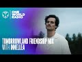 Tomorrowland  friendship mix  innellea