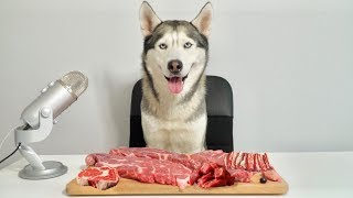 Asmr Husky Reviewing Raw Beef Meat Parts!