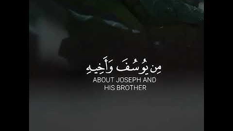 القارئ مشاري فالح سورة (يوسف)