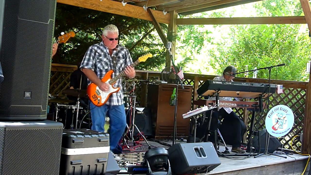 Do it for the Thrill by Blue Cat Blues @ Union Hotel in deposit md