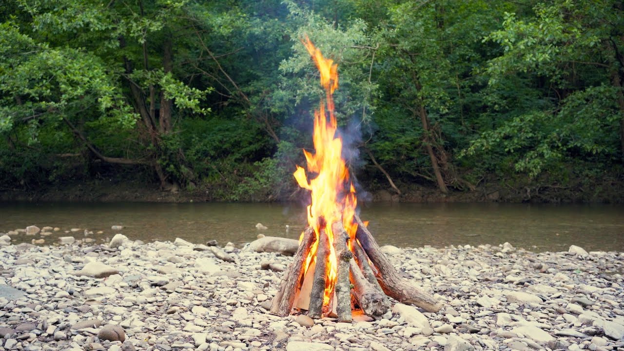 Cozy Campfire Vibes in the Forest: Relaxing Ambience 4K - YouTube