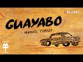 Guayabo MTZ Manuel Turizo Video Lyric mp3