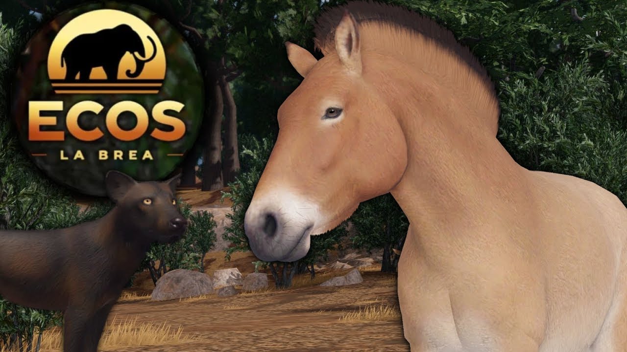 У МЕНЯ ЕСТЬ ЭКОС: ЛА БРЕА... (МОЯ ПЕРВАЯ РЕАКЦИЯ)