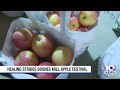Boones Mill Apple Festival delivers crisp apples and good times for all