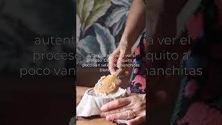 Queso camembert