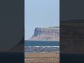 #ytshorts #uk #saltburn #beaches #ukbeaches #vacation #views #viralvideo #viral #travel #mountains