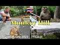 Таиланд. Phuket. Monkey Hill. июнь #2023