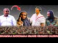 Dhamsaa Jabaa Shekaa Guunjaa Roobalee Ajesuun Garee Alamuu Simee Calisuu Shekota Fi Oromo Hudaa Tufi Dhamsaa Jabaa Shekaa Guunjaa Roobalee Ajesuun Garee Alamuu Simee Calisuu Shekota Fi Oromo Hudaa Tufi
