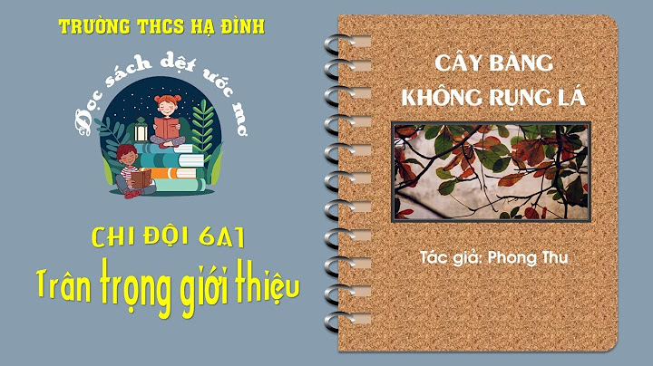 Cây bàng rụng hết lá hô hấp thế nào