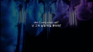 Absofacto - Dissolve (Acoustic)(가사/해석)