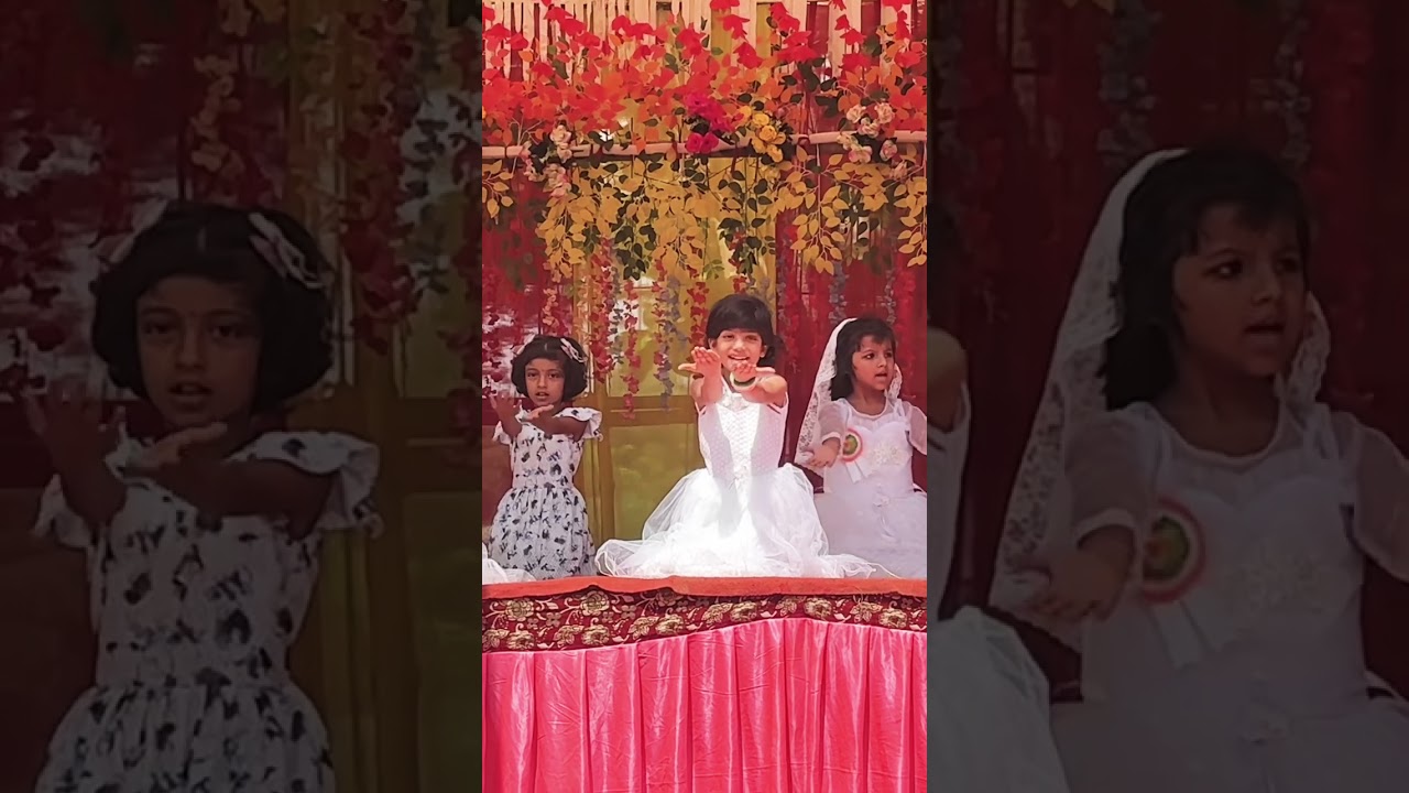 DPS Supaul Biraul 15 August 2025program 