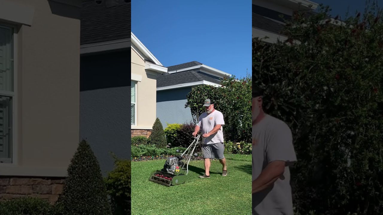 St Augustine Reel Mowing 50