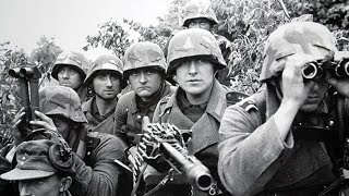 German Generals Were Stunned When 8,000 Allied Planes Darkened Skies Over Normandy