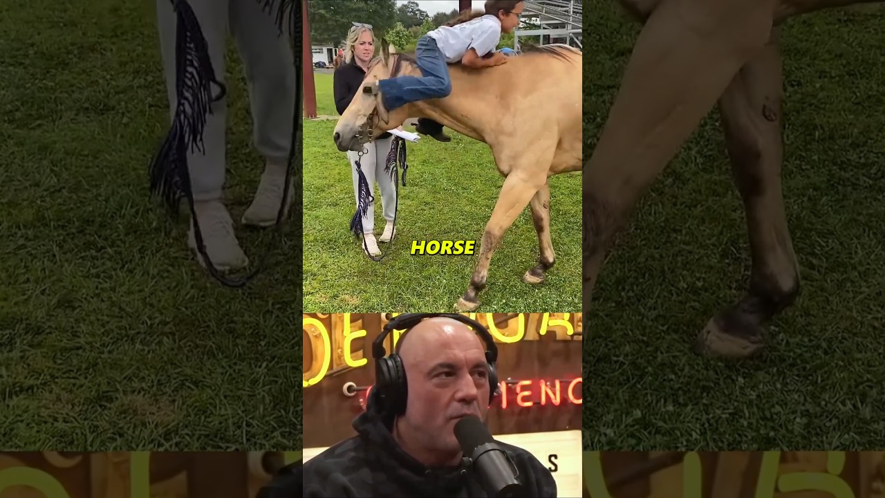 Дикий опыт Джо Рогана с поеданием конины!