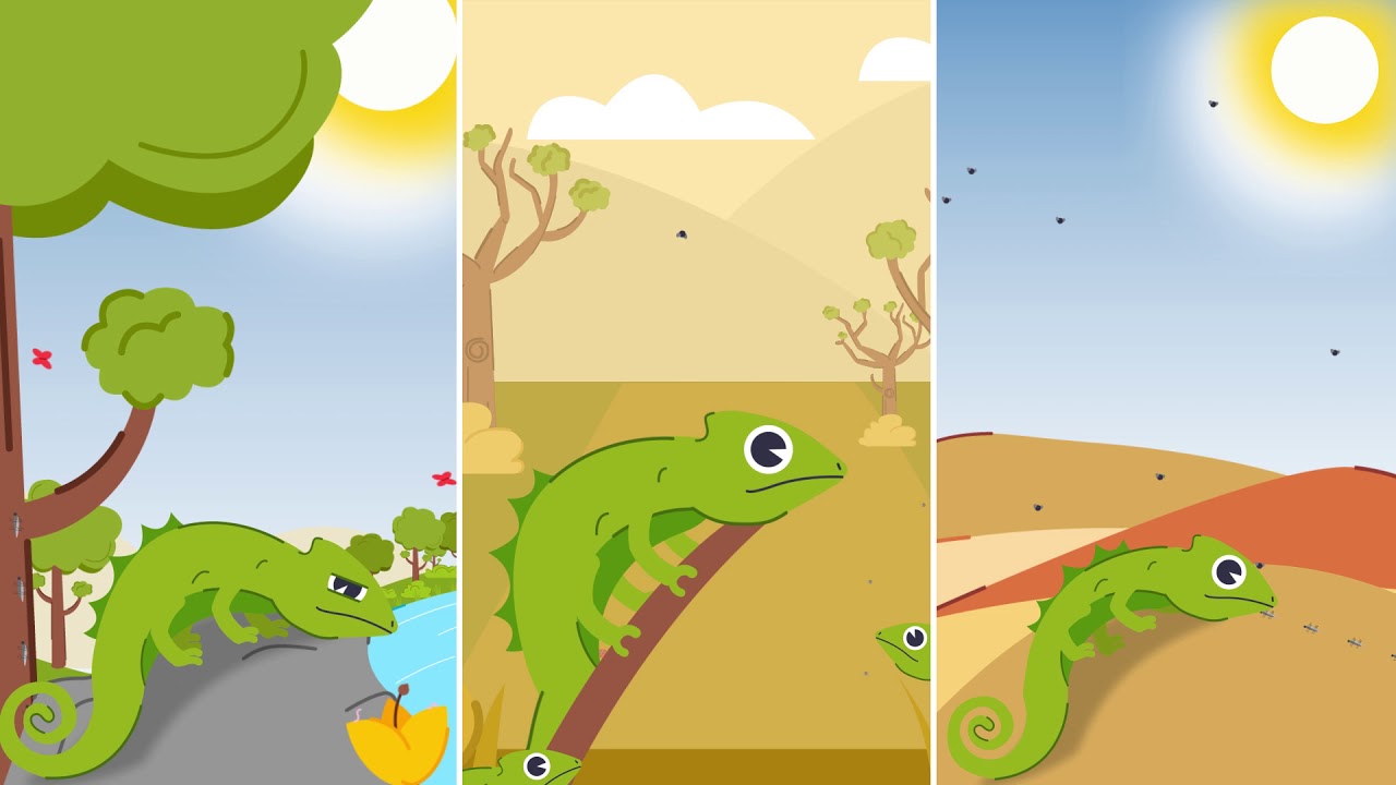 SEASON - Better conservation strategies for the lynx and similar predator-prey systems worldwide