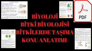 Biyoloji | Bitki Biyolojisi | Bitkilerde Taşıma Konu Anlatımı   PDF Notu 👇