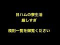 日ハムの寮生活厳しすぎ　規則一覧を御覧ください 【プロ野球】