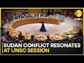 Sudan Conflict: Over 12 Million Displaced as Sudan's Civil War Rages On | WION