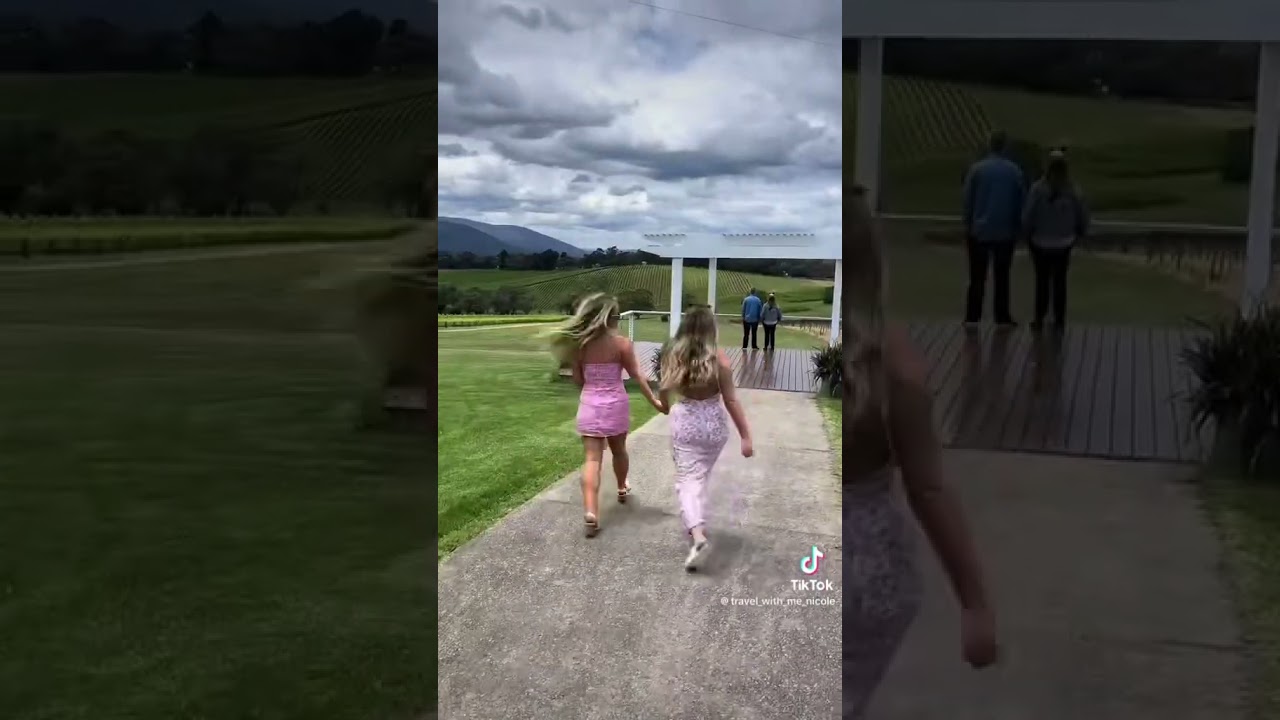 The best wine tours to the Yarra Valley from Melbourne Book now! 