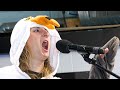 Keenan’s 2023 - Seagull Screech-Off - Preston &amp; Steve&#39;s Daily Rush