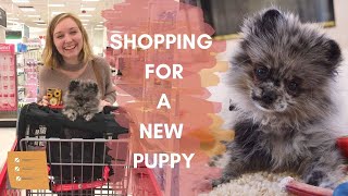 Things to Buy BEFORE You Get A Puppy! by Bailey Corin 3,680 views 3 years ago 16 minutes